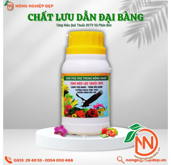 Chất Lưu Dẫn Đại Bàng - X2 Hiệu Quả Thuốc