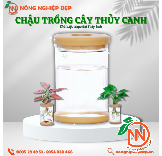 Chậu Trồng Cây Thủy Canh - Chất Liệu Nhựa Giả Thủy Tinh