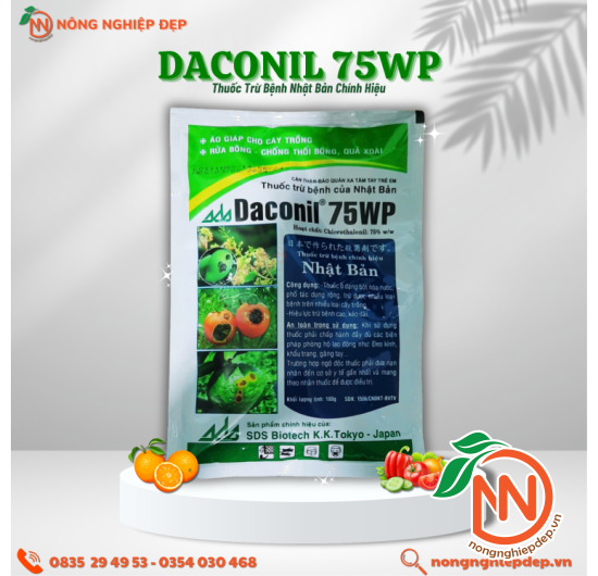 Daconil 75WP - Thuốc Trừ Bệnh Nhật Bản Chính Hiệu