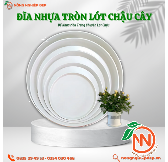 Đĩa Nhựa Tròn Lót Chậu Cây - Đế Nhựa Lót Chậu 