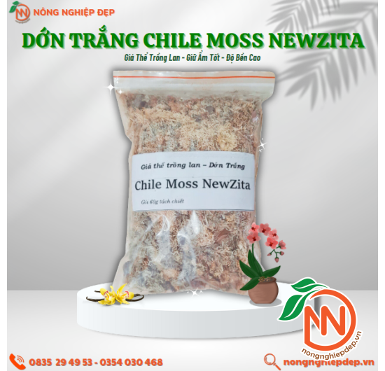 Dớn Trắng Chile Moss NewZiTa - Giá Thể Trồng Lan