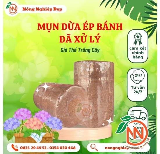 Mụn Dừa Ép Bánh Đã Xử Lý
