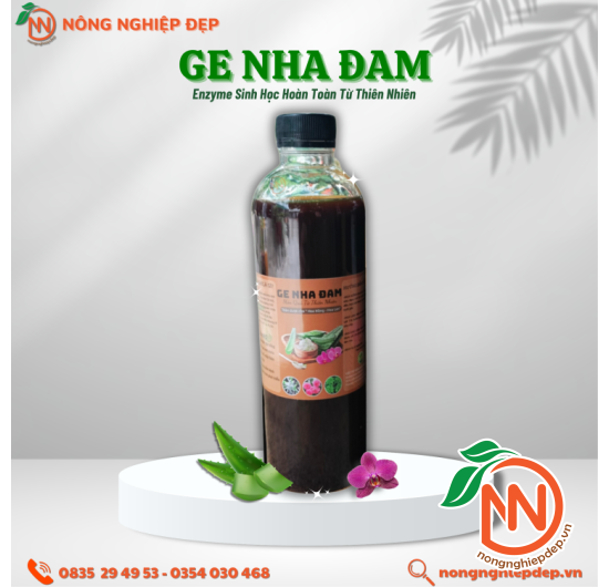 Ge Nha Đam - Enzyme Sinh Học Hoàn Toàn Từ Thiên Nhiên