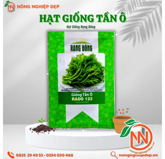 Hạt Giống Tần Ô Rạng Đông - RADO 123 