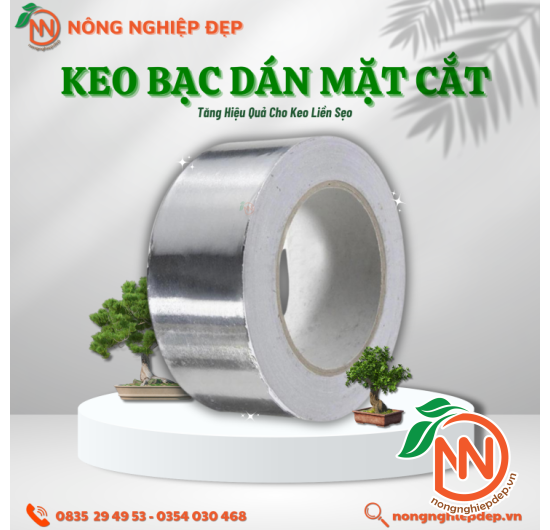 Keo Bạc Dán Mặt Cắt - 5cm