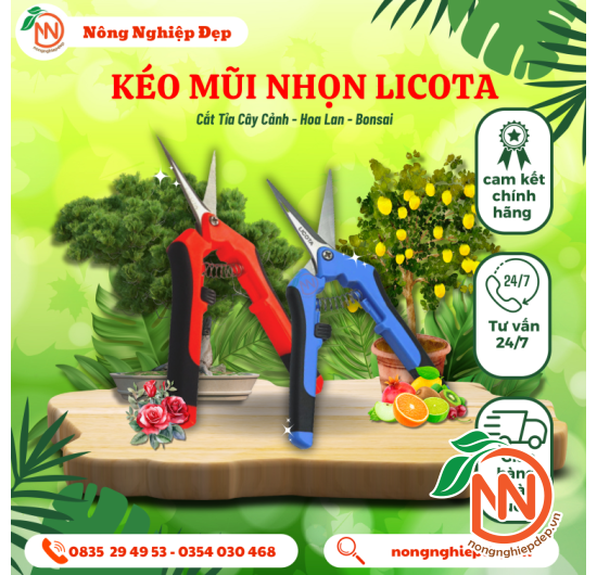 Kéo Cắt Cành Mũi Nhọn Cao Cấp Licota 