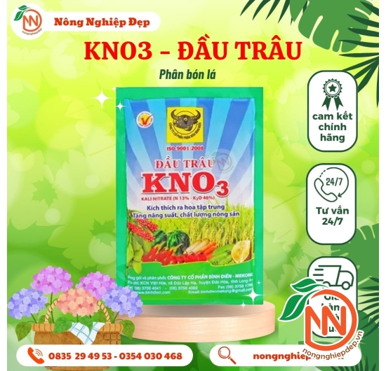 KNO3 Đầu Trâu - Kali Nitrat (13-0-46)