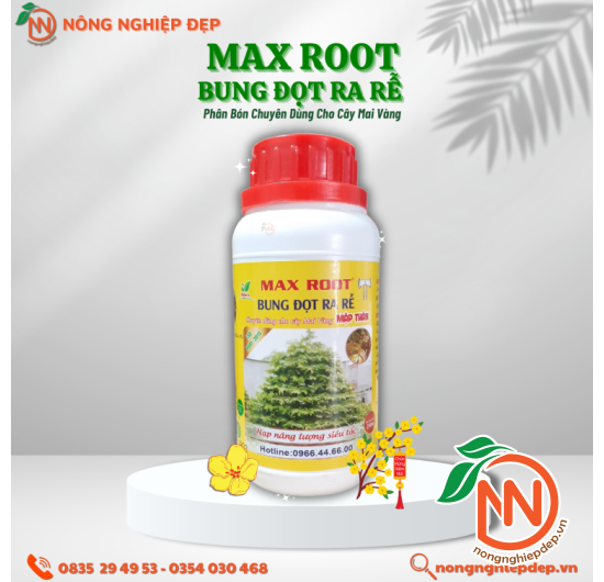 MAX ROOT - Bung Đọt Ra Rễ - Phân Chuyên Dùng Cho Mai Vàng