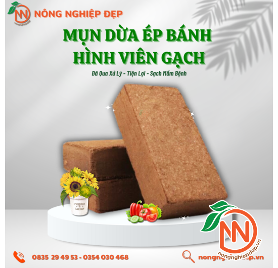 Mụn Dừa Ép Bánh Hình Viên Gạch