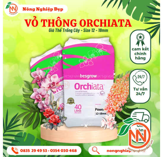 Vỏ Thông ORCHIATA 12 - 18mm