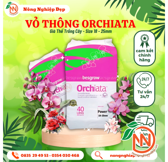 Vỏ Thông ORCHIATA 18 - 25mm
