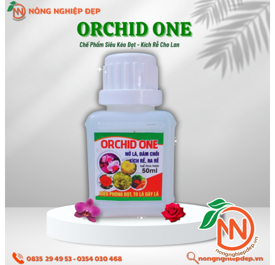 Orchid One - SIÊU KÉO ĐỌT , KÍCH RỄ CHO PHONG LAN