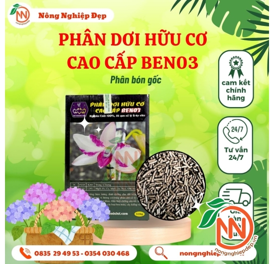 Ben 03 - Phân Dơi Hùng Nguyễn