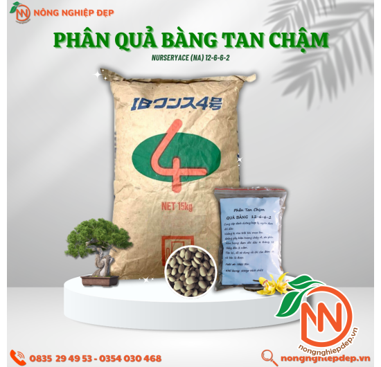 Phân Quả Bàng Tan Chậm Nhật Bản – NURSERYACE (ΝΑ) 12-6-6-2