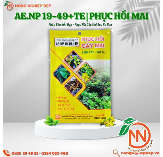 Phân Bón Phục Hồi Cây Mai - AE.NP 19-49+TE