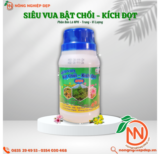 Siêu Vua Bật Chồi - Kích Đọt | Phân Bón Kích Chồi, Đọt