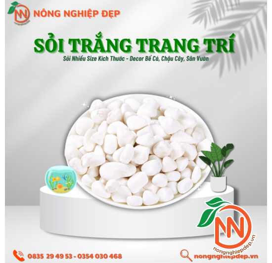Sỏi Trắng Trang Trí - Nhiều Size Kích Thước