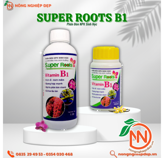 SUPER ROOTS B1 – Kích Rễ, Kích Mầm