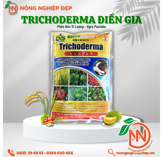 Trichoderma Điền Gia