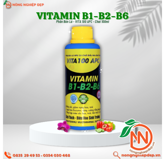 Vita 100 APC 100ml - Vitamin B1-B2-B6 - Điều Hòa Sinh Trưởng