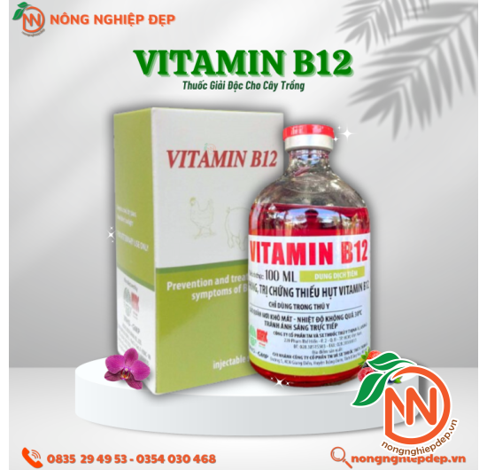 Vitamin B12 - Thuốc Giải Độc Cho Cây