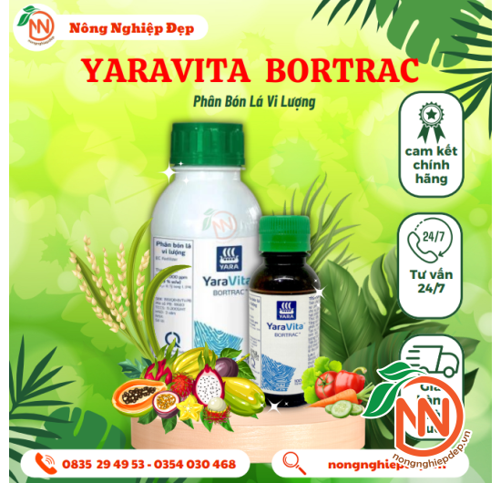 Phân Bón Vi Lượng BORTRAC - Ra Hoa, Đậu Trái, Chống Rụng Trái