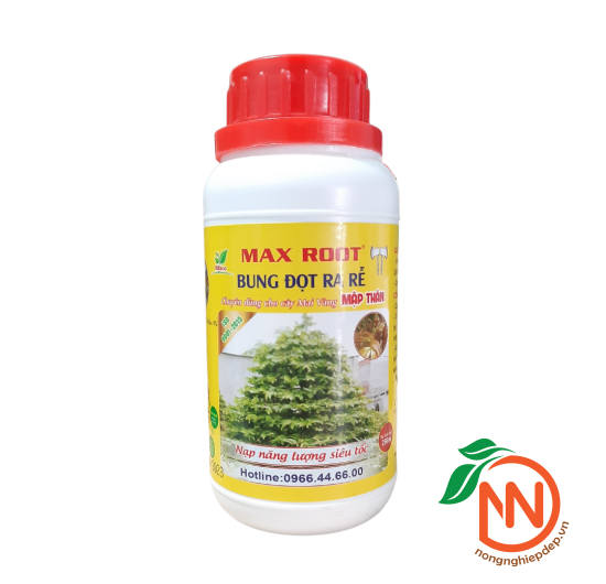 MAX ROOT - Bung Đọt Ra Rễ - Phân Chuyên Dùng Cho Mai Vàng