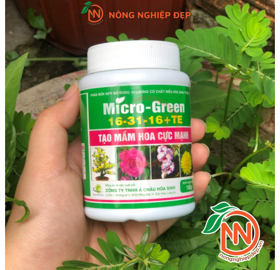 NPK MICRO GREEN 16-31-16+TE