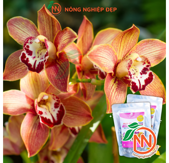 Phân Bón Hữu Cơ Khoáng Minro 6-4-6 + TE