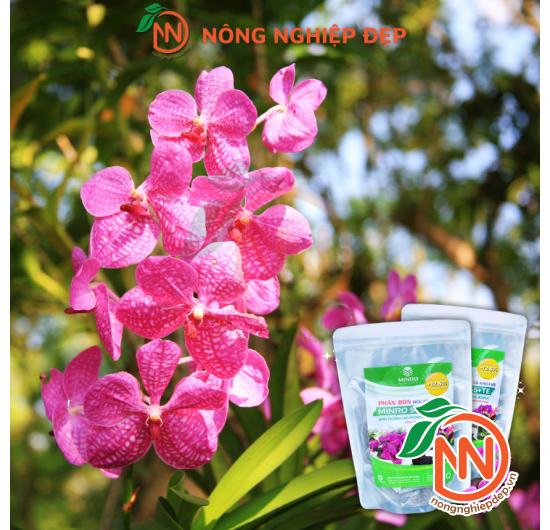 Phân Hữu Cơ Khoáng MINRO 5-5-5 TE – Giúp Cây Sinh Trưởng Khỏe Mạnh