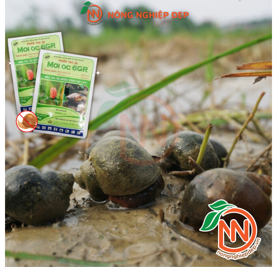 Bả trừ ốc MOI OC 6GR