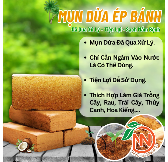 Mụn Dừa Ép Bánh Hình Viên Gạch