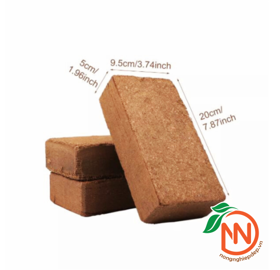 Mụn Dừa Ép Bánh Hình Viên Gạch