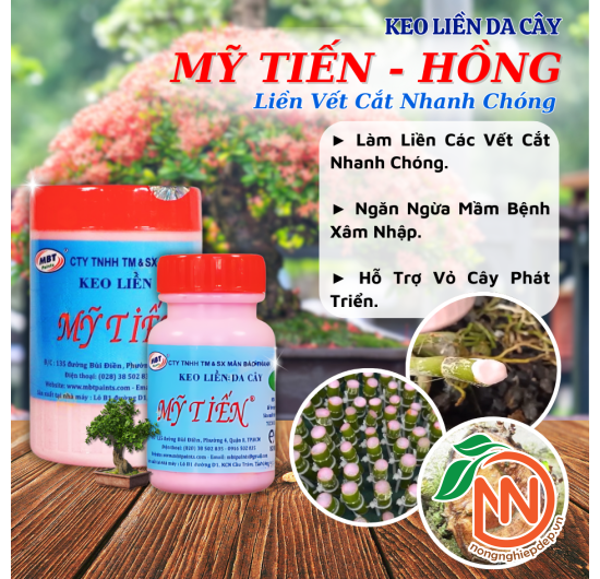Mỹ Tiến Hồng – Keo Liền Sẹo Liền Vết Cắt Nhanh