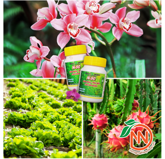 N90 Grow More - Chất Siêu Bám Dính, Loang Trải