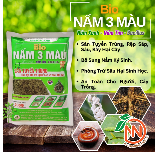 Nấm 3 Màu Bio - Săn Tuyến Trùng, Rệp Sáp, Sâu, Rầy Ký Sinh