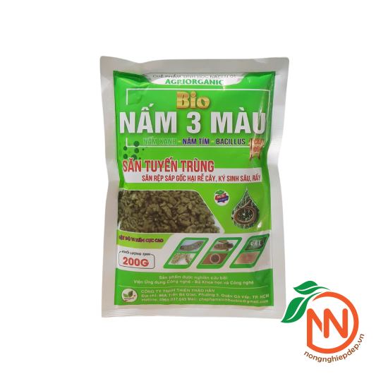 Nấm 3 Màu Bio - Săn Tuyến Trùng, Rệp Sáp, Sâu, Rầy Ký Sinh