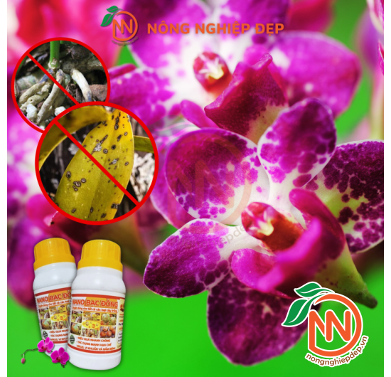 Nano Bạc Đồng - Hạn Chế Virus, Vi Khuẩn, Nấm Bệnh