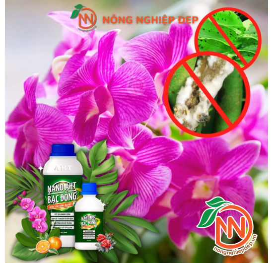 Nano Bạc Đồng AHT – Hạn Chế Vi Khuẩn, Nấm Bệnh