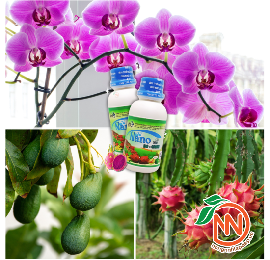 Nano Bo-Canxi AHT – Chống rụng trái, rụng nụ