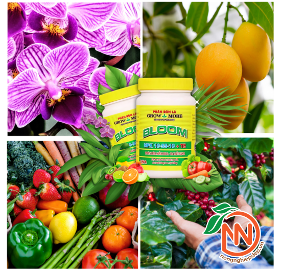 NPK 10-55-10+TE GROWMORE 