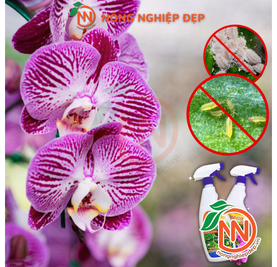 Chế Phẩm Trừ Sâu Sinh Học OAU SPRAY 6.3EW