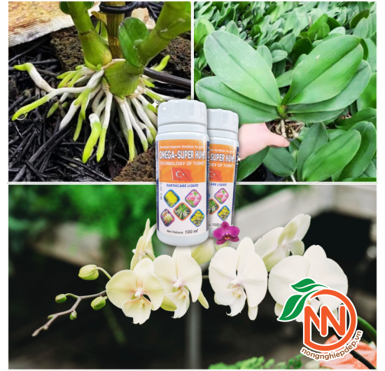 Phân Bón Lá Omega Super Hume - Kích Rễ, Bật Mầm
