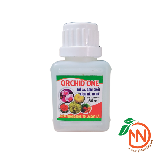 Orchid One - SIÊU KÉO ĐỌT , KÍCH RỄ CHO PHONG LAN