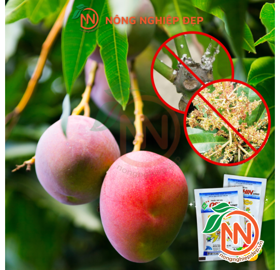 OSHIN 20WP (6,5g) – Thuốc đặc trị sâu, rầy gây hại