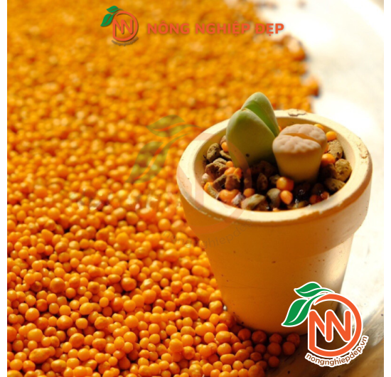 Osmocote 14-14-14 | Phân Tan Chậm Mỹ