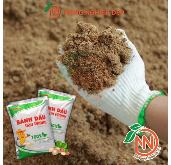 Phân Bánh Dầu Đậu Phộng Đã Qua Xử Lý Lavamix