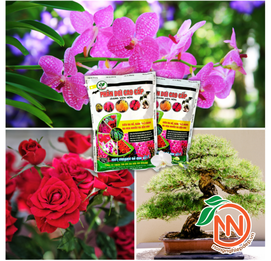 Phân Dơi Cao Cấp Dạng Viên Nén