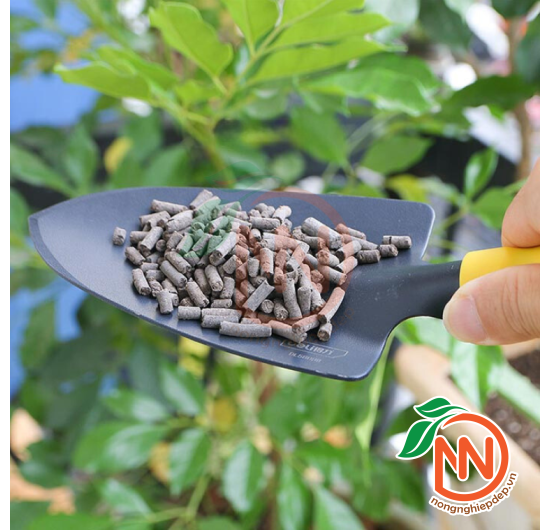 Phân Dơi Cao Cấp Dạng Viên Nén
