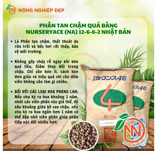 Phân Quả Bàng Tan Chậm Nhật Bản – NURSERYACE (ΝΑ) 12-6-6-2